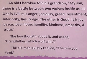 Cherokee Indian Saying
